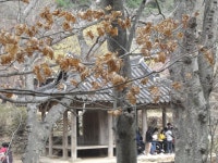 부산테마여행사