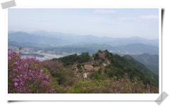 부산여행사 부산테마여행사