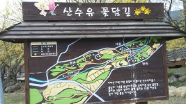 부산여행사 부산테마여행사