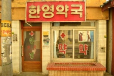부산테마여행사