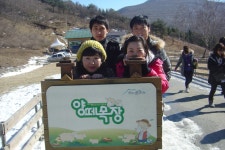 부산테마여행사