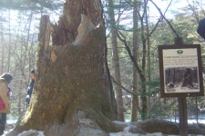 부산테마여행사