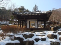 부산테마여행사