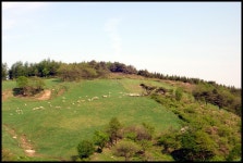 부산여행사 부산테마여행사