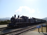 부산테마여행사