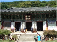 부산테마여행사