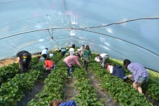 부산테마여행사