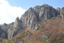 부산테마여행사