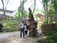 부산테마여행사