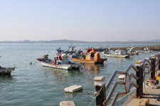 부산테마여행사