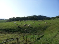 부산여행사 부산테마여행사