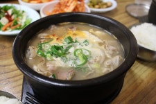 부산테마여행사