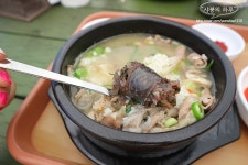 부산테마여행사