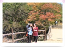 부산테마여행사