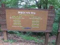 부산테마여행사