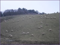 부산테마여행사