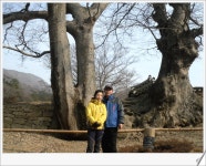 부산테마여행사