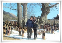 부산테마여행사