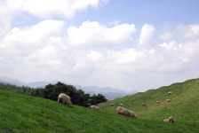 부산여행사 부산테마여행사