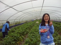 부산테마여행사