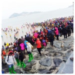 부산여행사 부산테마여행사