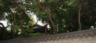 넘겨 보다, 서울특별시 은평구, 사진