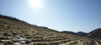 모든 종양을 위하여, 강원도 태백시, 사진