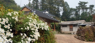 낯선 조화, 전라남도 장성군, 사진