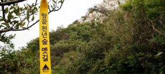 땅끝 천 년 숲 옛길, 전라남도 해남군, 사진