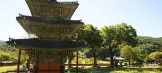 느티나무 한 그루, 전라남도 화순군, 사진