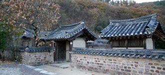 낙엽이 뒹구는 길, 경상남도 의령군, 사진