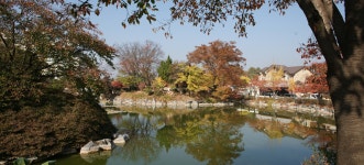 수면 위의 세계, 경상북도 김천시, 사진