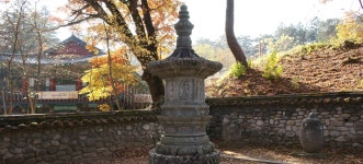 긴 세월 속에서, 경상북도 김천시, 사진