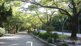 여유로움을 오르내리다, 대구광역시 남구, 스토리텔링