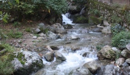 여유로움을 오르내리다, 대구광역시 남구, 스토리텔링