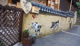 마비정 벽화 마을의 그림 속을 걷다, 대구광역시 달성군, 스토리텔링