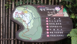 마비정 벽화 마을의 그림 속을 걷다, 대구광역시 달성군, 스토리텔링