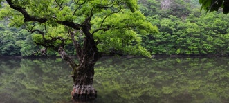 어디에 내리든, 경상북도 청송군, 사진