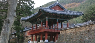 갑작스레, 선명히, 충청남도 금산군, 사진