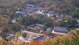 금정산에서 만난 초록빛 이야기, 부산광역시 금정구, 스토리텔링