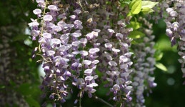 금정산에서 만난 초록빛 이야기, 부산광역시 금정구, 스토리텔링