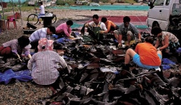 기장군 해안절경을 탐하다, 부산광역시 기장군, 스토리텔링
