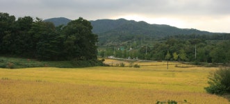 세월의 풍경, 충청남도 홍성군, 사진