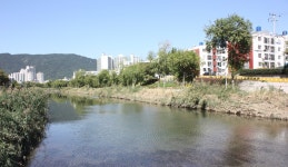잠시 들린 부산, 그 곳의 여유, 부산광역시 동래구, 스토리텔링