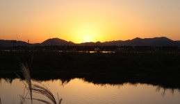 강변 따라 흘러드는 추억, 부산광역시 사상구, 스토리텔링