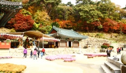 산속에 스며든 보물, 경기도 양평군, 스토리텔링
