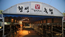 와牛 횡성, 名品 한우, 강원도 횡성군, 스토리텔링