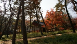 느린 걸음으로 모퉁이를 돌아, 경상북도 김천시, 스토리텔링