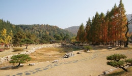 느린 걸음으로 모퉁이를 돌아, 경상북도 김천시, 스토리텔링