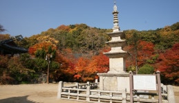 느린 걸음으로 모퉁이를 돌아, 경상북도 김천시, 스토리텔링
